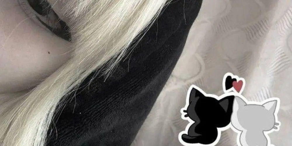 Imagem do grupo de WhatsApp 𝖘𝖍𝖎𝖉𝖊𝖒𝖔𝖓𝖑𝖞 𝖗𝖊𝖛’