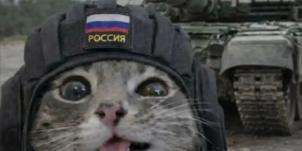 Imagem do grupo de WhatsApp ꀸꍏꋪꀘꂦ ꌃꂦ꓄