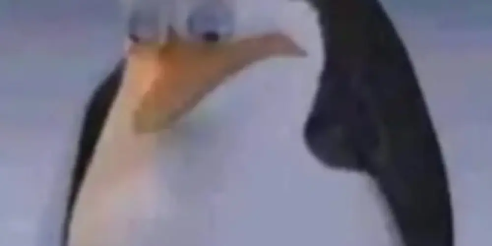 Imagem do grupo de WhatsApp 𝙨𝙚𝙢 𝙣𝙤𝙘̧𝙖̃𝙤 ¯\\_(ツ)_/¯