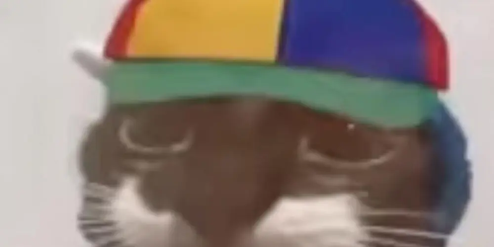 Imagem do grupo de WhatsApp 🌪️ 𝕿𝖗𝖔𝖕𝖆 𝖉𝖔 𝕮𝖆𝖔𝖘 🌪️