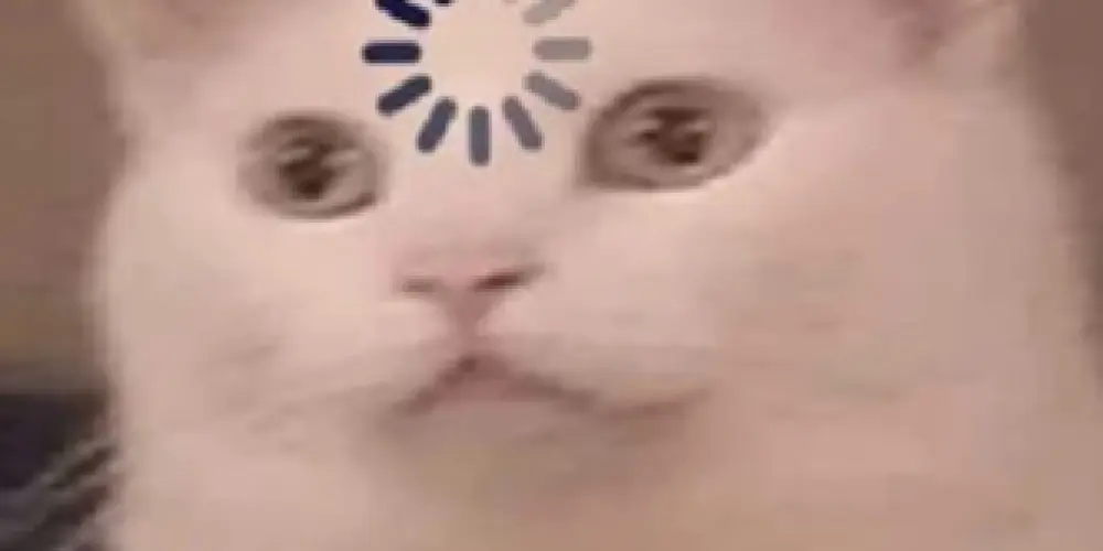 Imagem do grupo de WhatsApp 🛸 𝔟𝔞𝔰𝔢 𝔡𝔬𝔰 𝔞𝔪𝔦𝔤𝔬𝔰 🛸