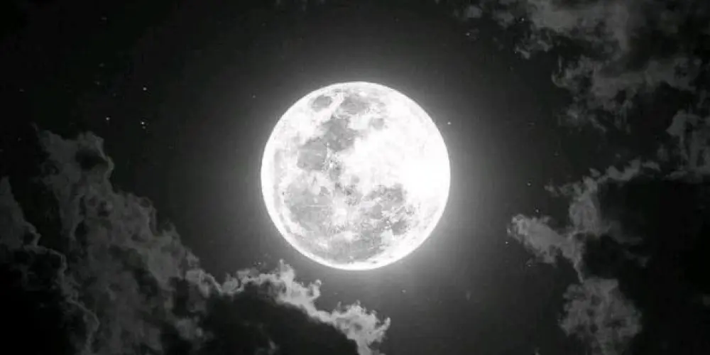 Imagem do grupo de WhatsApp 🔥🄿🄰🅁🄰🅄🄰🄿🄴🄱🄰🅂 - 𝙽𝙸𝙶𝙷𝚃 𝙲𝙻𝚄𝙱 🔥