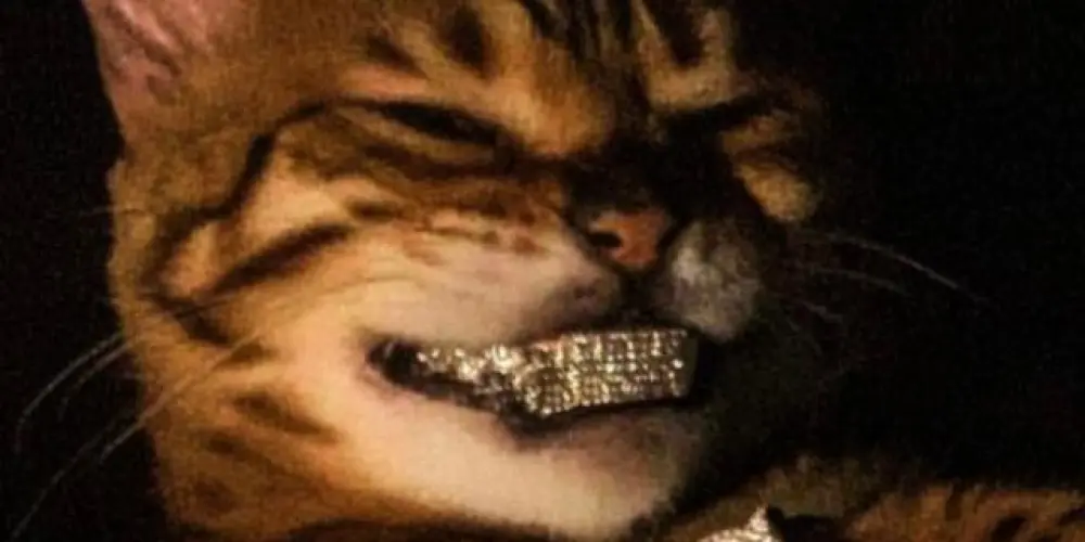 Imagem do grupo de WhatsApp 愛ⁿᵗʲᎶ卂ㄒㄖﾠ尺丨匚ㄖホ