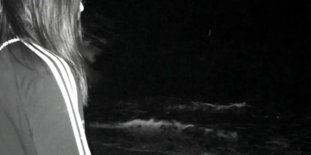 Imagem do grupo de WhatsApp 𝖈𝖍𝖆𝖔𝖘 𝖘𝖔𝖈𝖎𝖊𝖙𝖞 ᜢᜢ⚡