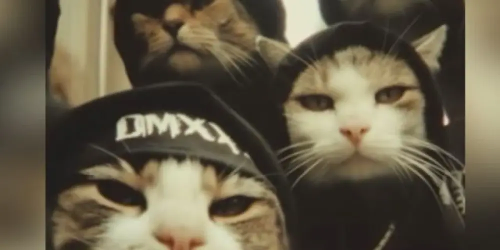 Imagem do grupo de WhatsApp 💥 𝐸𝓁𝒾𝓉𝑒 𝒹𝒶 𝒷𝒶𝑔𝒶𝒸𝑒𝒾𝓇𝒶 💥