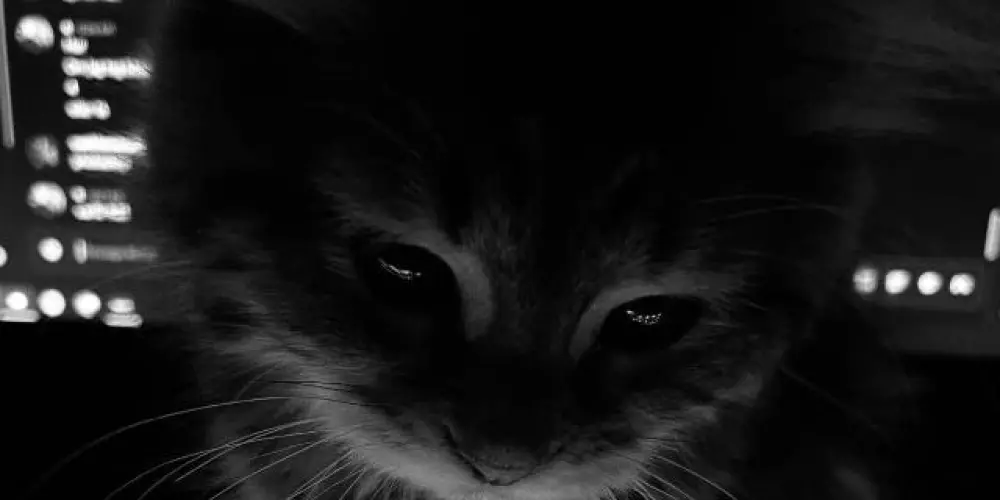 Imagem do grupo de WhatsApp 𝒌𝒔𝒘𝒔𝒊𝒅𝒆