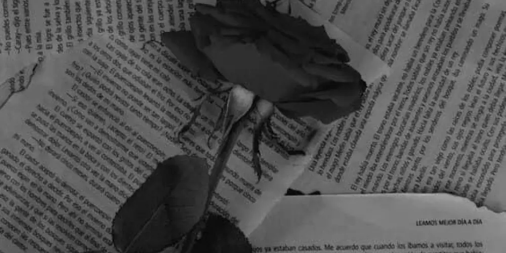 Imagem do grupo de WhatsApp ♰ 𝐃𝐚𝐫𝐤 𝐫𝐨𝐦𝐚𝐧𝐜𝐞𝐬 ☘︎