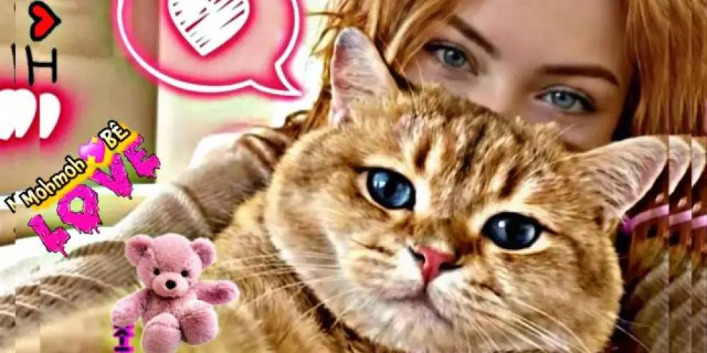 Imagem do grupo de WhatsApp 🎀፝֟͠𝐂𝐀𝐍𝐓𝐈𝐍𝐇𝐎 𝐃✿⃝⃦፝𝐀 𝐀𝐌𝐈𝐙𝐀𝐃𝐄 𝐄 𝐋𝐈𝐍𝐊𝐒🎀