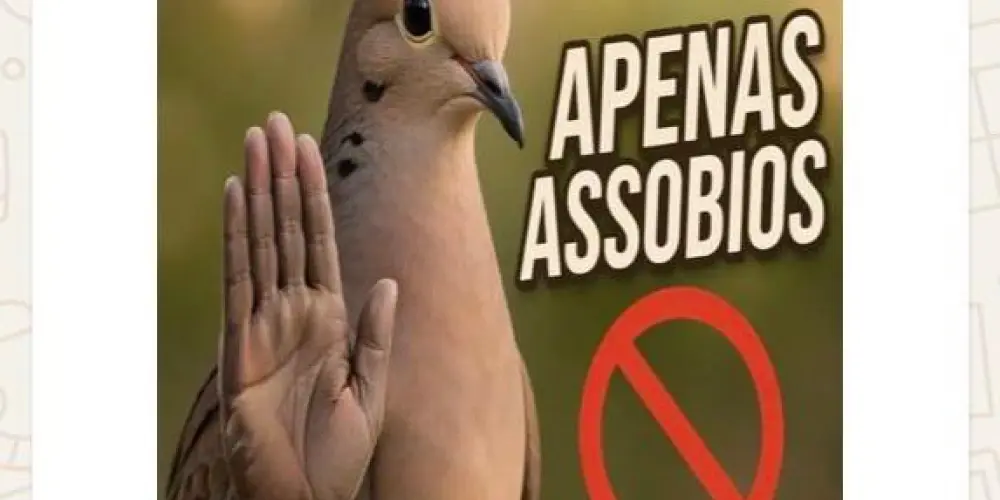 Imagem do grupo de WhatsApp ＡＳＳＯＢＩＯ ＢＲＡＳＩＬ