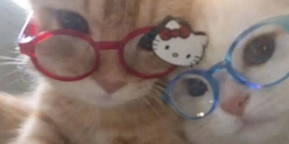 Imagem do grupo de WhatsApp 💯 𝐑𝐞𝐬𝐞𝐧𝐡𝐚 𝐨𝐧 🌀