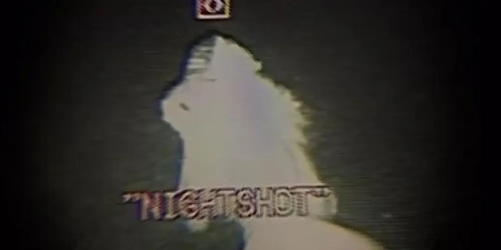 Imagem do grupo de WhatsApp ͟͟͞͞🔥͟͟͞͞𝗡𝗜𝗚𝗛𝗧𝗦𝗛𝗢𝗧⃟🔥