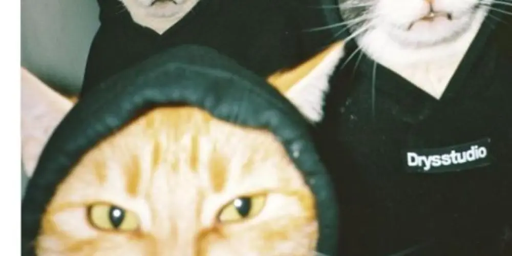 Imagem do grupo de WhatsApp 𝙎𝙊𝙎.𝙯𝙪𝙚𝙧𝙖𝙨