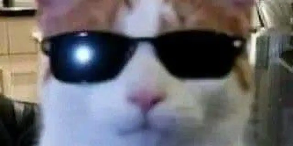 Imagem do grupo de WhatsApp ꧁༺ 𝕿𝖗𝖔𝖕𝖆 𝖉𝖔 𝕮𝖆𝖕𝖘 ༻꧂