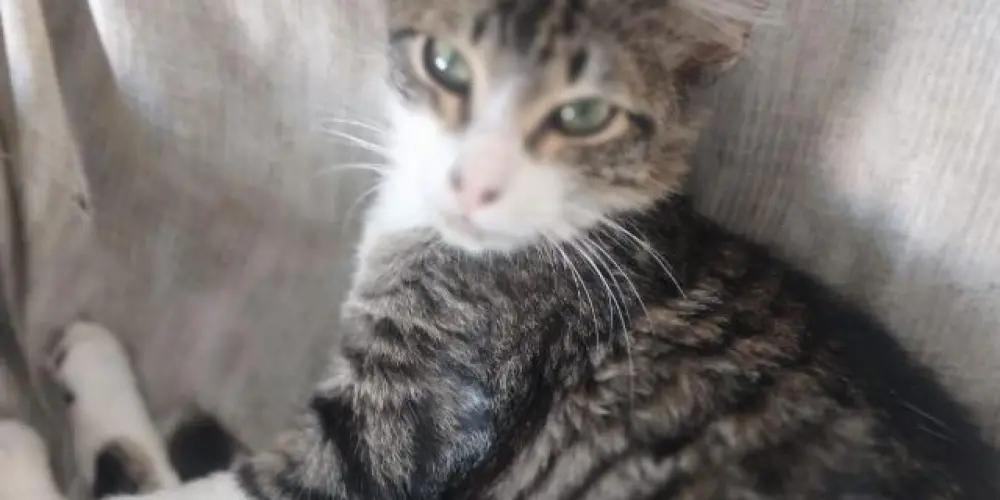 Imagem do grupo de WhatsApp เสียเวลาเปล่า