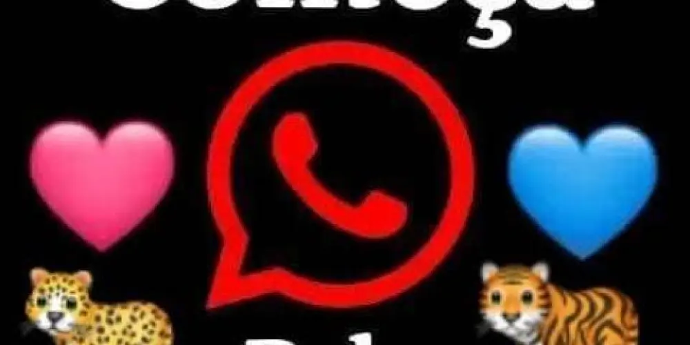 Imagem do grupo de WhatsApp 𝕿𝖚𝖉𝖔 𝖈𝖔𝖒𝖊𝖈̧𝖆 𝖕𝖊𝖑𝖆 𝖆𝖒𝖎𝖟𝖆𝖉𝖊