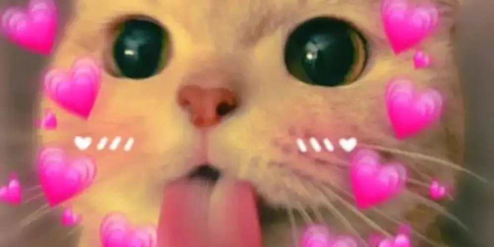 Imagem do grupo de WhatsApp ✧─── ･ ｡ﾟ★: *.𝕄𝕖𝕟𝕚𝕟𝕠𝕤.* :★. ───✧