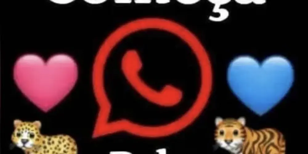 Imagem do grupo de WhatsApp 𝕿𝖚𝖉𝖔 𝖈𝖔𝖒𝖊𝖈̧𝖆 𝖕𝖊𝖑𝖆 𝖆𝖒𝖎𝖟𝖆𝖉𝖊.