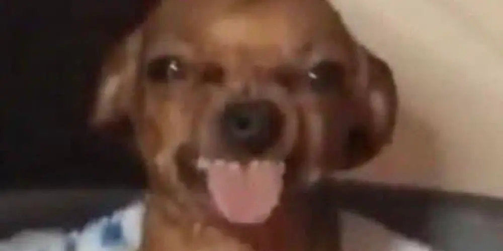 Imagem do grupo de WhatsApp 𝚇⟬𝚇𝚝𝚣𝚜 𝚣𝚞𝚎𝚒𝚛𝚊⟭𝚡
