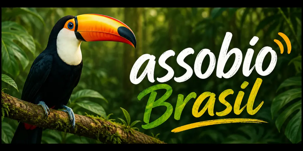 Imagem do grupo de WhatsApp ＡＳＳＯＢＩＯ ＢＲＡＳＩＬ