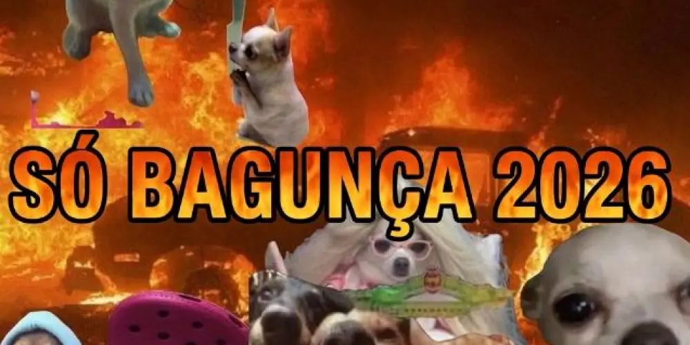 Imagem do grupo de WhatsApp 𝕾𝖔 𝕭𝖆𝖌𝖚𝖓𝖈𝖆