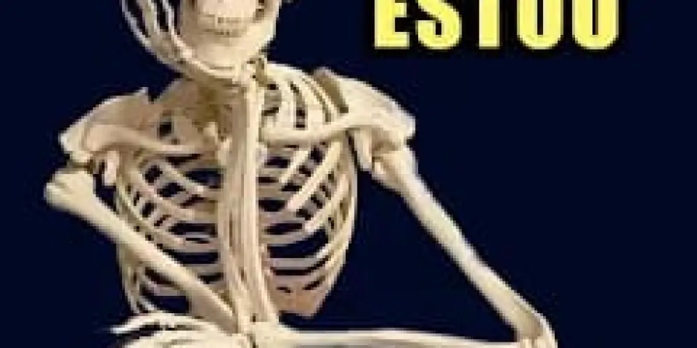 Imagem do grupo de WhatsApp ＦＩＧＵＲＩＮＨＡＳ