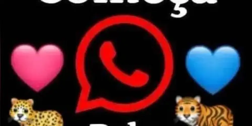 Imagem do grupo de WhatsApp 𝕿𝖚𝖉𝖔 𝖈𝖔𝖒𝖊𝖈̧𝖆 𝖕𝖊𝖑𝖆 𝖆𝖒𝖎𝖟𝖆𝖉𝖊.