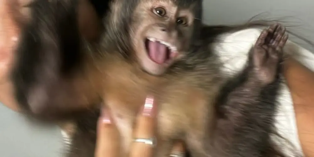 Imagem do grupo de WhatsApp '𝕮𝖍𝖆𝖙 𝖉𝖆 𝖒𝖆𝖉𝖗𝖚𝖌𝖆𝖉𝖆