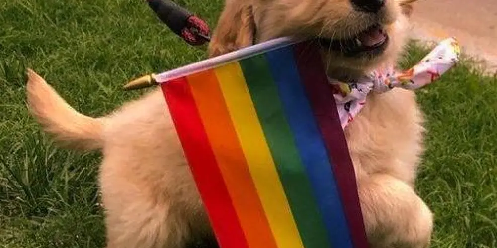 Imagem do grupo de WhatsApp 𝕽𝖆𝖎𝖓𝖇𝖔𝖜 𝕽𝖔𝖔𝖒 🌈