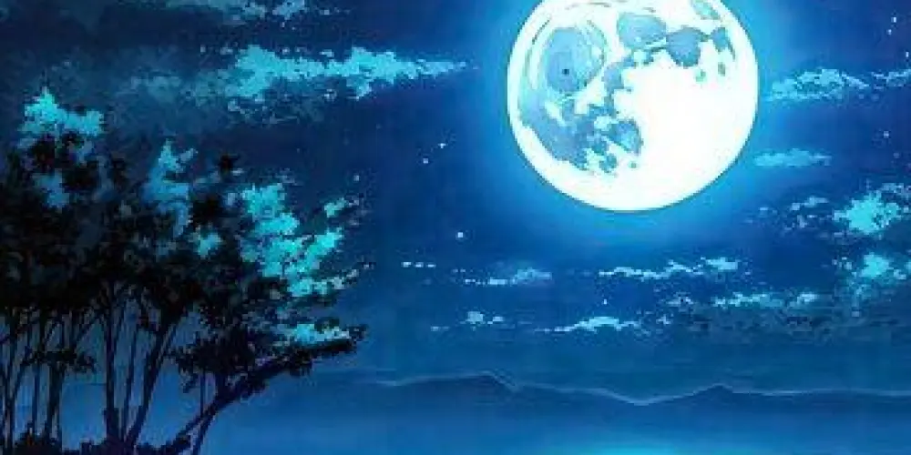 Imagem do grupo de WhatsApp ⢷𝄒❄️＞̤ 〣 𝐂𝐡𝐚𝐭 𝑮𝒆𝒓𝒂𝒍 🌌 . . ⁞⁞⃝✨