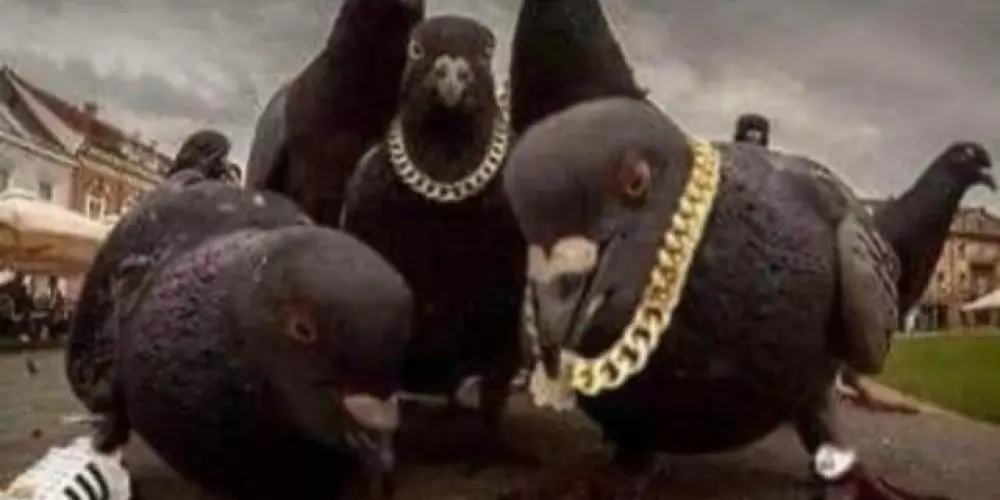Imagem do grupo de WhatsApp 𝑬𝒏𝒕𝒓𝒆 𝒓𝒊𝒔𝒐𝒔 𝒆 𝒕𝒓𝒆𝒕𝒂𝒔