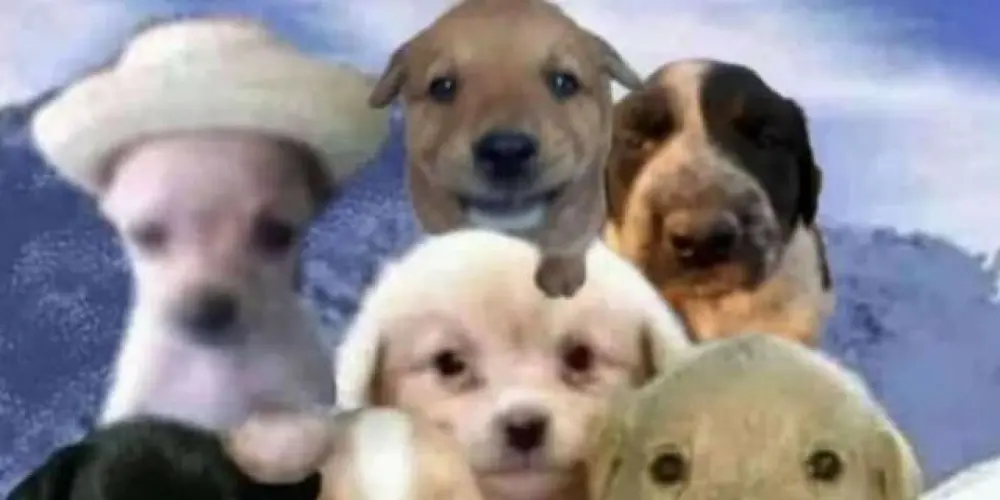 Imagem do grupo de WhatsApp 𝕱𝖆𝖒𝖎́𝖑𝖎𝖆 𝖉𝖔 𝕮𝖆𝖔𝖘