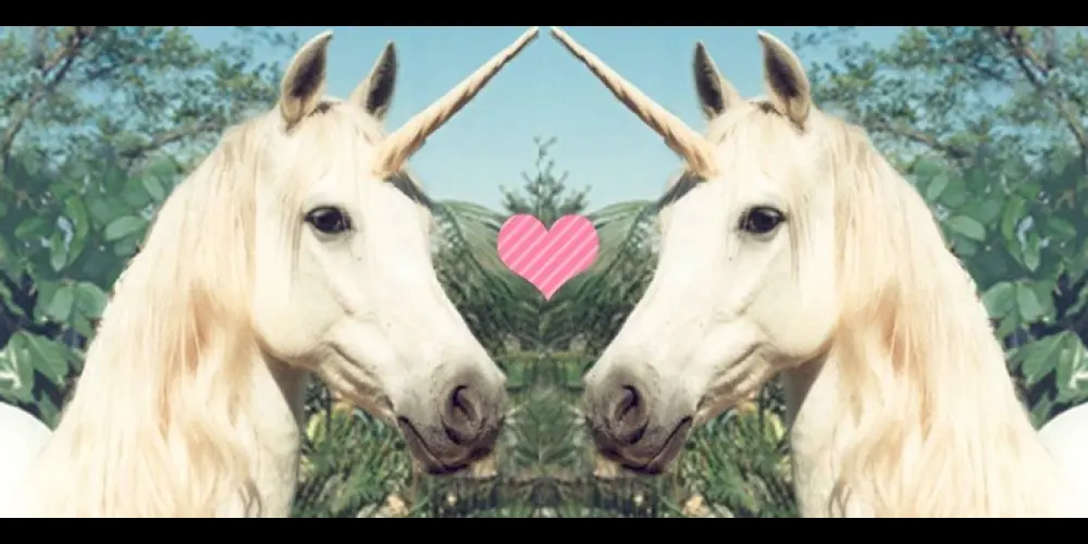 Imagem do grupo de WhatsApp ᴜɴɪᴄᴏʀʟᴀɴᴅɪᴀ 🦄