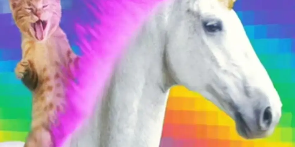 Imagem do grupo de WhatsApp ᴜɴɪᴄᴏʀʟᴀɴᴅɪᴀ 🦄