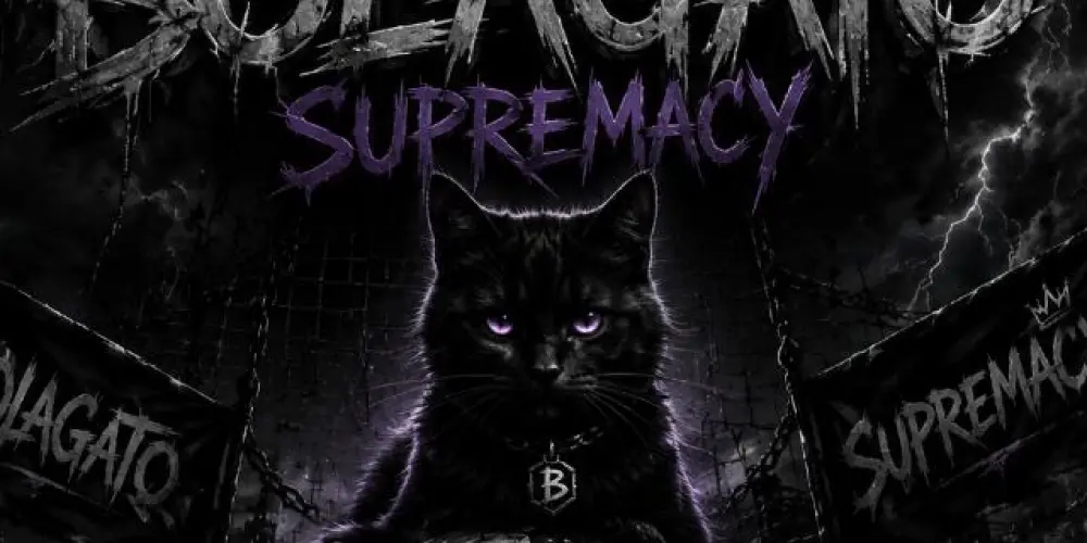 Imagem do grupo de WhatsApp ⫷⚽⫸ ʙᴏʟᴀɢᴀᴛᴏ🐈ꜱᴜᴘʀᴇᴍᴀᴄʏ ⫷⚽⫸