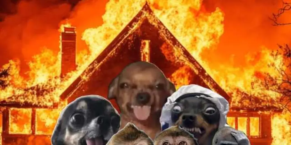 Imagem do grupo de WhatsApp ༒︎ 𝙍𝙚𝙨𝙚𝙣𝙝𝙖💯 𝙡𝙞𝙢𝙞𝙩𝙚𝙨🫪🔥⭑ ‎