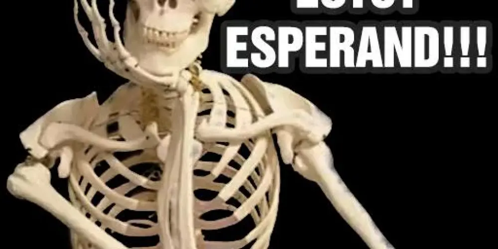 Imagem do grupo de WhatsApp ???