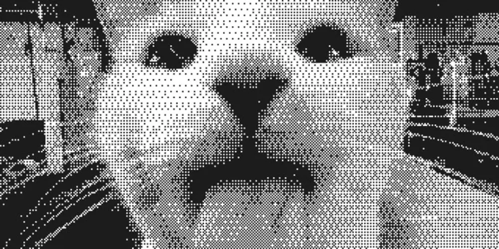 Imagem do grupo de WhatsApp ꧁༺✨ 𝓕𝓪𝓶𝓲́𝓵𝓲𝓪 𝓢𝓮𝓶 𝓙𝓾𝓲́𝔃𝓸 ✨༻꧂