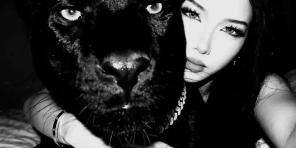Imagem do grupo de WhatsApp 𝐌𝐘 𝐃𝐄𝐑𝐈𝐂𝐎🖤😈