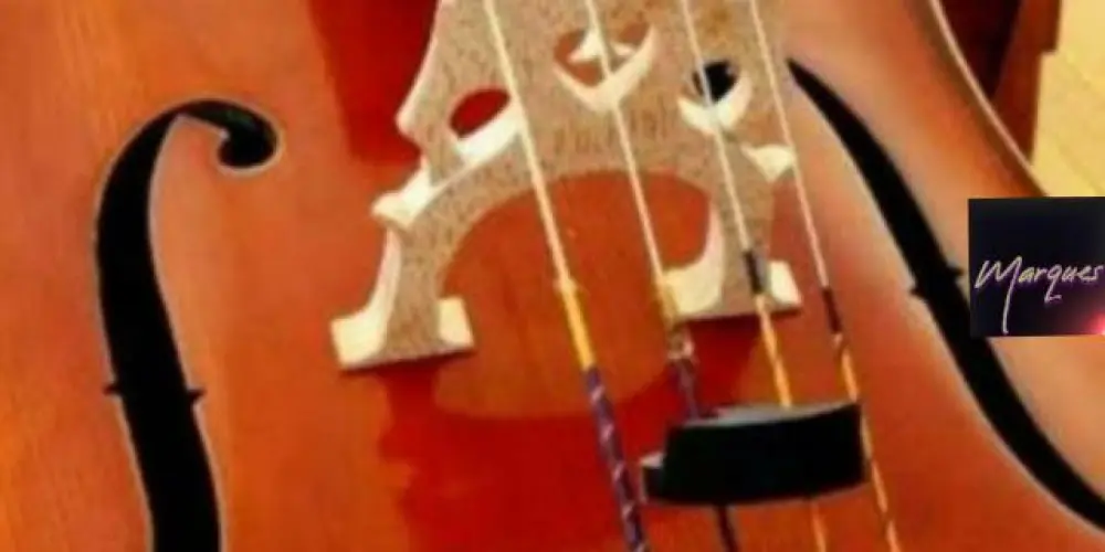 Imagem do grupo de WhatsApp 🎻🎼🎧𝐌𝐔́𝐒𝐈𝐂𝐀 𝐁𝐎𝐀 🎼🎻