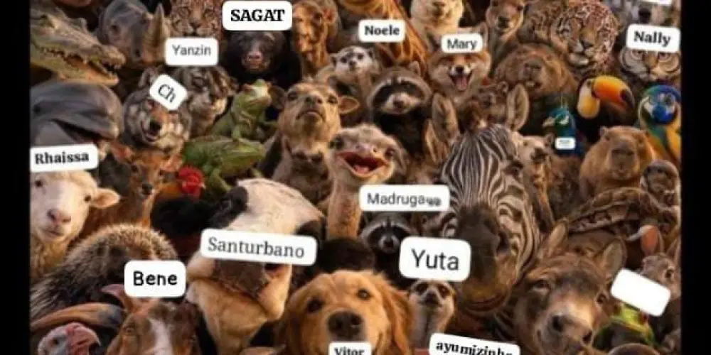 Imagem do grupo de WhatsApp 𝑪𝑳𝑼𝑩𝑬 𝑫𝑨𝑺 𝑾𝑰𝑵𝑿