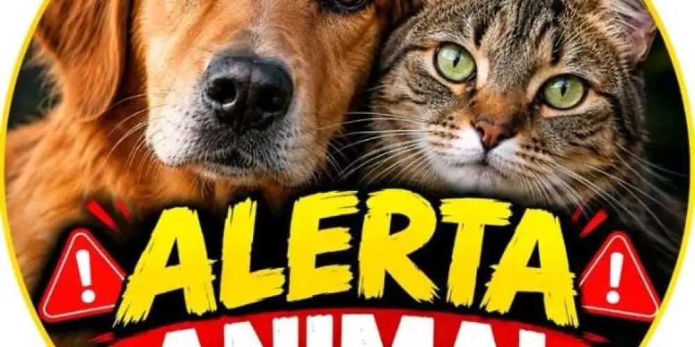 Imagem do grupo de WhatsApp 𝗔𝗹𝗲𝗿𝘁𝗮 𝗔𝗻𝗶𝗺𝗮𝗹 🐾