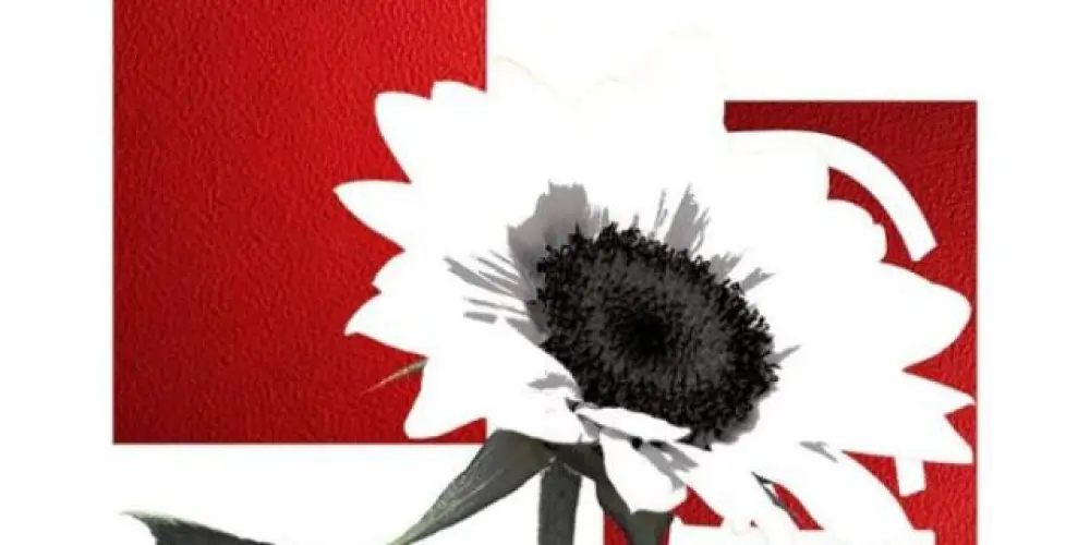 Imagem do grupo de WhatsApp ☆𝔄𝓁𝓋ℴ𝓇𝒶𝒹𝒶 𝑠𝑡𝑎𝑡𝑢𝑠🎌☆ 『𝙄𝙍』