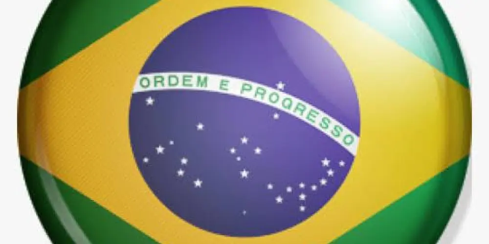 Imagem do grupo de WhatsApp 𝗗𝗶𝗿𝗲𝗶𝘁𝗮 𝗖𝗼𝗻𝘀𝗲𝗿𝘃𝗮𝗱𝗼𝗿𝗮 𝗱𝗼 𝗕𝗿𝗮𝘀𝗶𝗹 🇧🇷