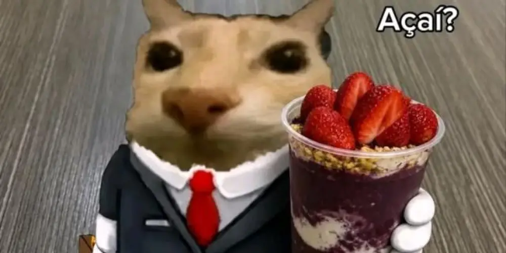 Imagem do grupo de WhatsApp 𝑻𝑹𝑶𝑷𝑨 𝑫𝑨 𝑹𝑬𝑺𝑬𝑵𝑯𝑨 ( ≧∀≦)ノ
