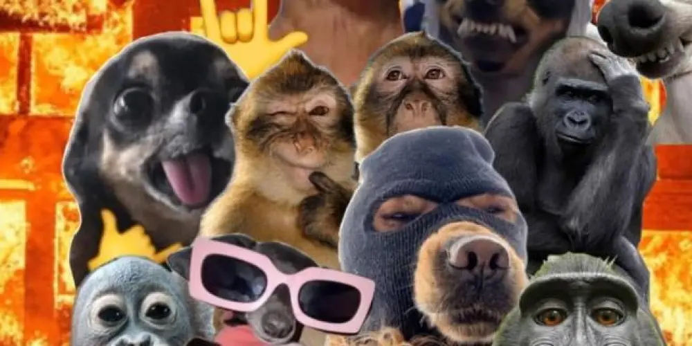 Imagem do grupo de WhatsApp 𝕮𝖔𝖙𝖎𝖆 𝕬𝖋𝖙𝖊𝖗 𝕳𝖔𝖚𝖗𝖘 🌙/🫪👾👌