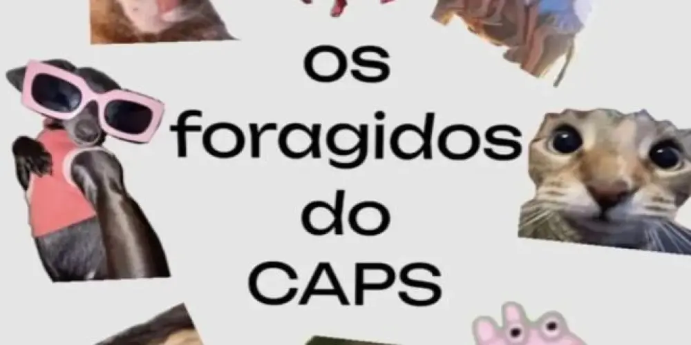 Imagem do grupo de WhatsApp 💯 𝑶𝒔 𝑰𝒏𝒂𝒃𝒂𝒍𝒂́𝒗𝒆𝒊𝒔