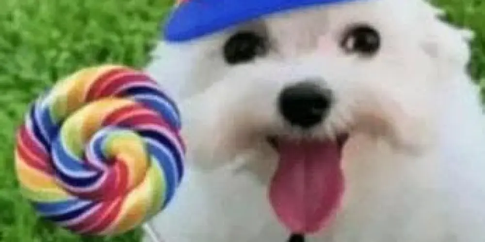 Imagem do grupo de WhatsApp 💆🏻‍♀️ ᎪϘႮᏆ📍 ͲᎠ ᏢϴᎠᎬ ᎪᎷϴᎡᎬ ❣