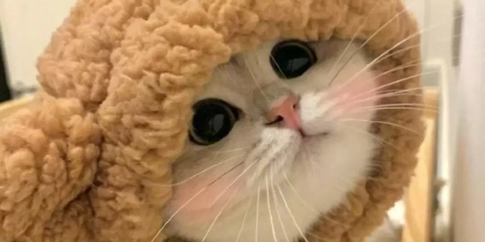 Imagem do grupo de WhatsApp 𝙊𝙁🩸⃟⃤𝑹𝑰𝑪𝑲𝒀𝒁𝑿𝒙7ꫂ💤