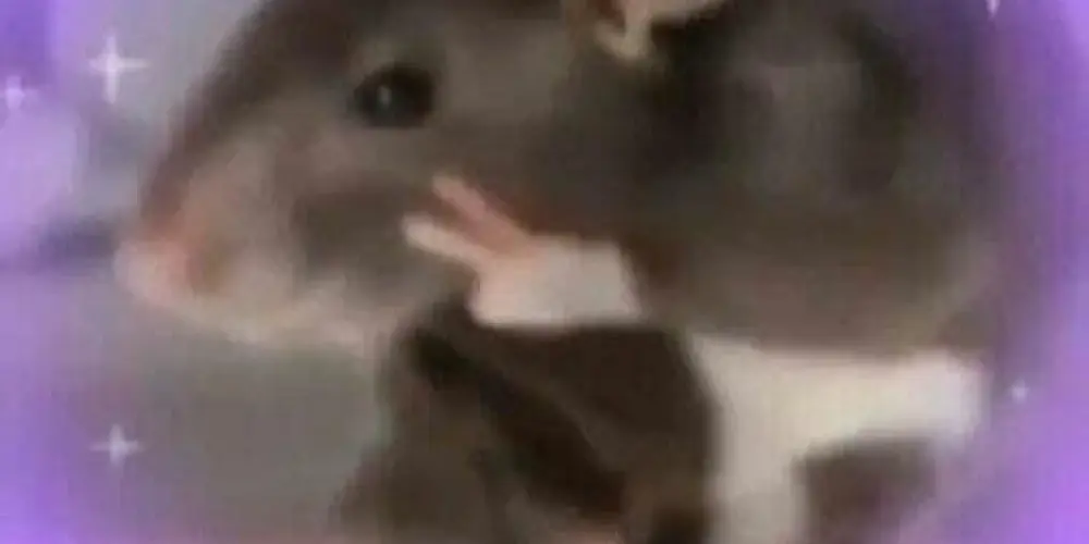 Imagem do grupo de WhatsApp ༻𝑯𝑶𝑺𝑷𝑰́𝑪𝑰𝑶⁷༺