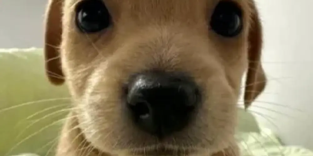 Imagem do grupo de WhatsApp ⏤͟͟͞͞꧁ 𝐶𝐻𝐴𝑇 𝐷𝑂 𝑋7